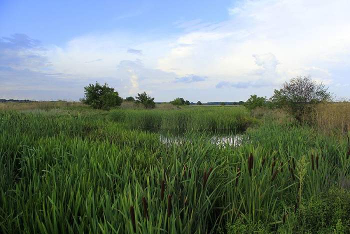 Ruta de Milles de la Polvorosa